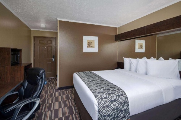 Microtel Inn & Suites by Wyndham Columbia Two Notch Rd Area image 11