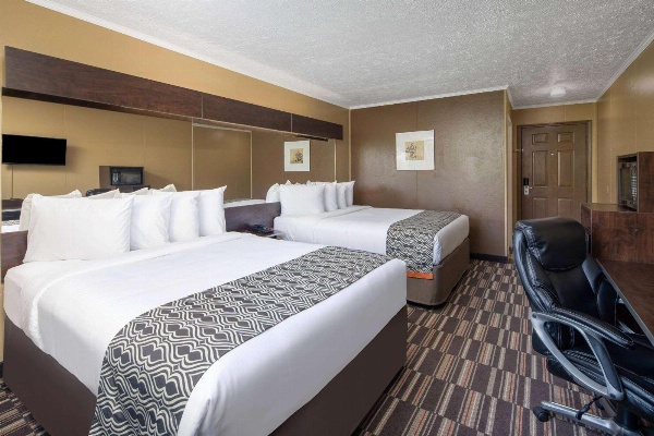 Microtel Inn & Suites by Wyndham Columbia Two Notch Rd Area image 5